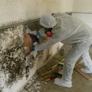 person removing mold